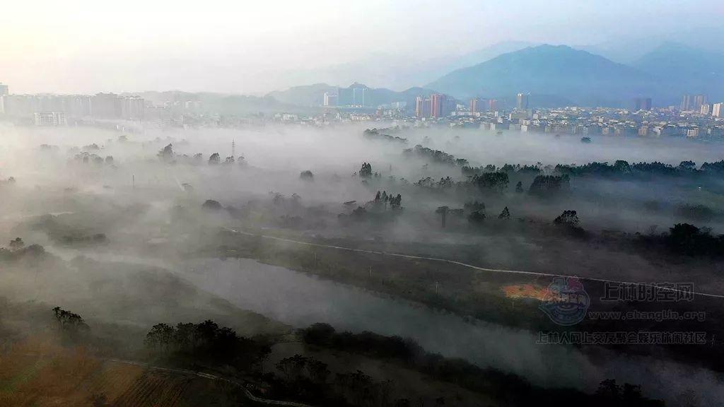 燃烧吧大脑装瓶子游戏