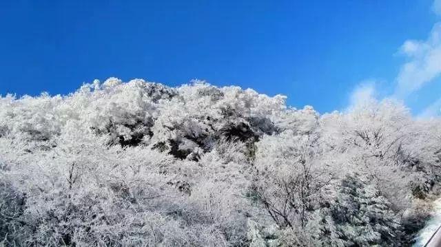 奢华豪宅找不同