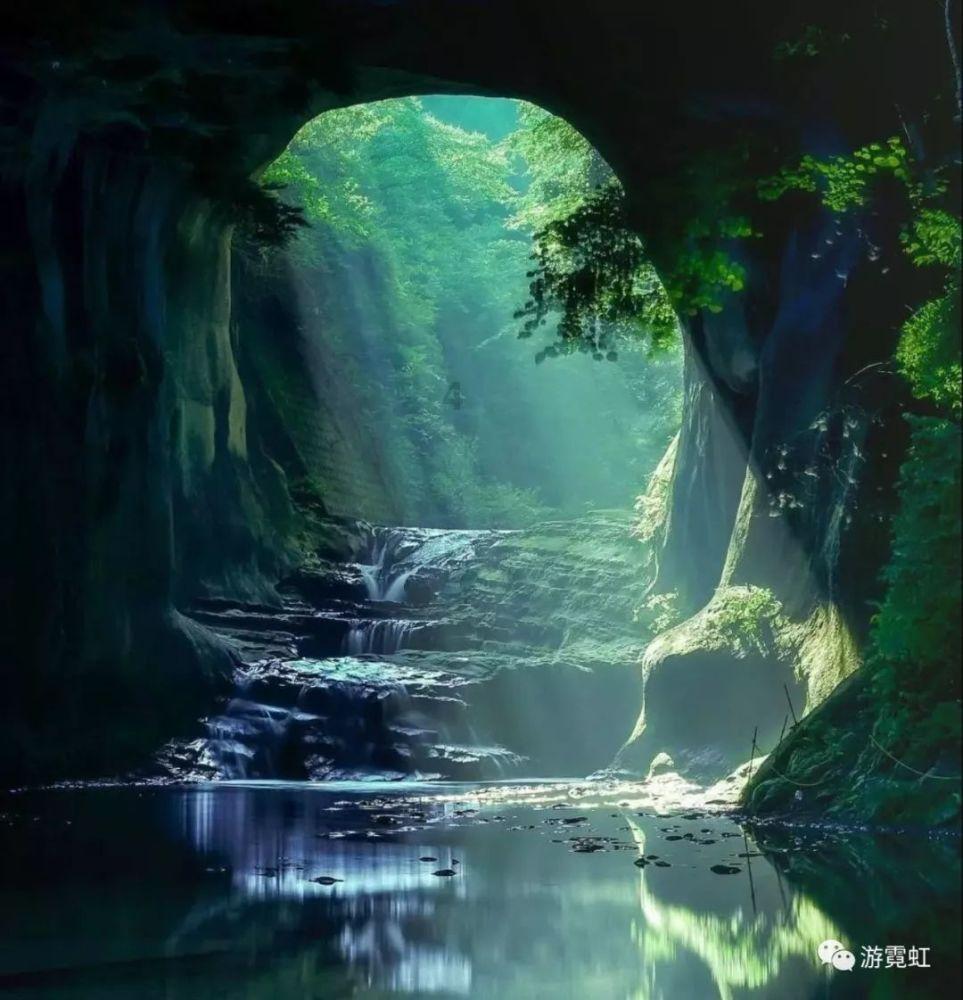 侍忍者