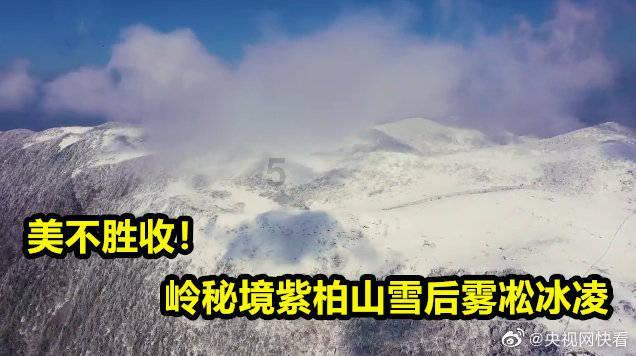 浙江一地原拆原建，装电梯、增加地下车库，比拆迁还要爽…