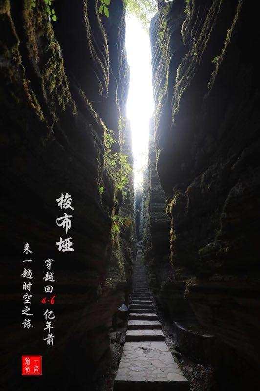 探探猫宝石岛3