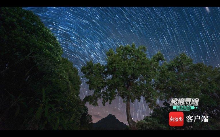 见缝插刀2