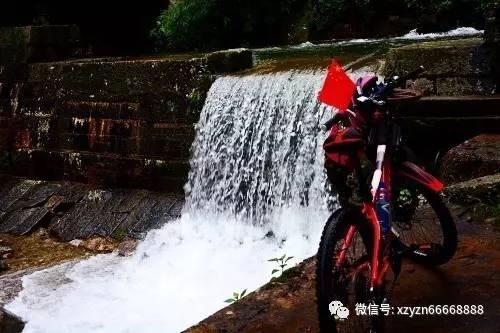 “拔个智齿没了命”,问题出在哪里