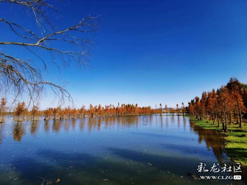 田静点赞评论表明态度,儿孙比钱财更重要,杜新枝下厨招待粉丝