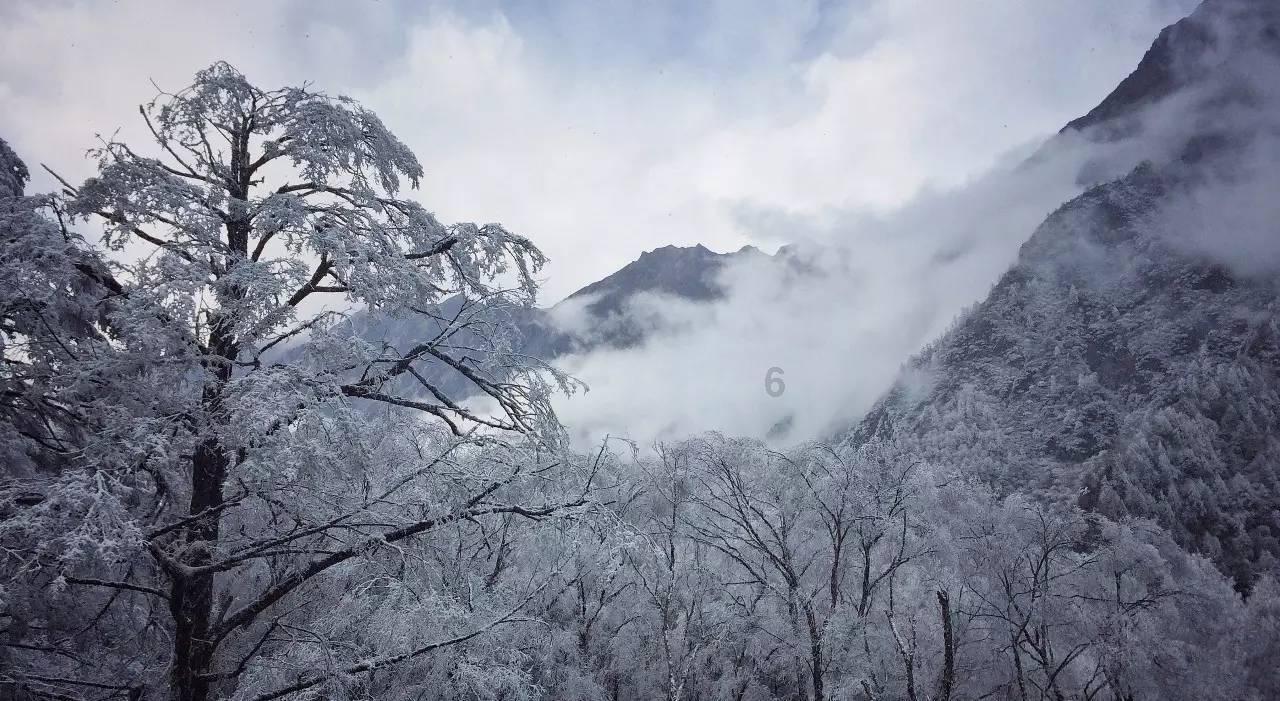 升空的泡泡2