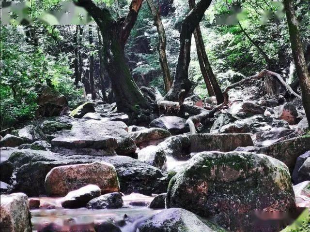 惊悚的万圣节拼图