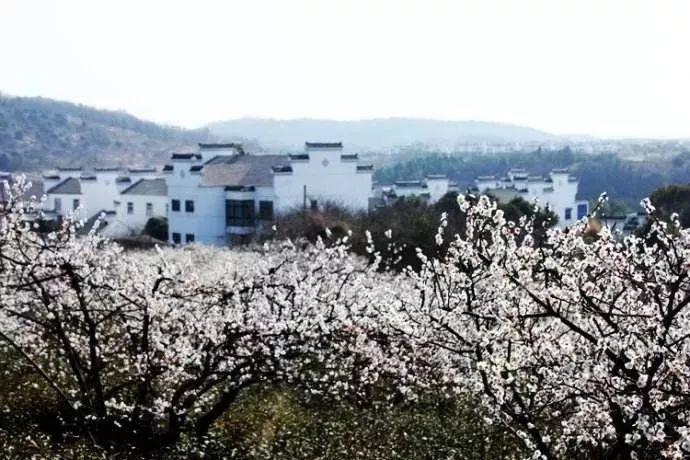 年轻人为什么不想回老家过年?六条理由很扎心