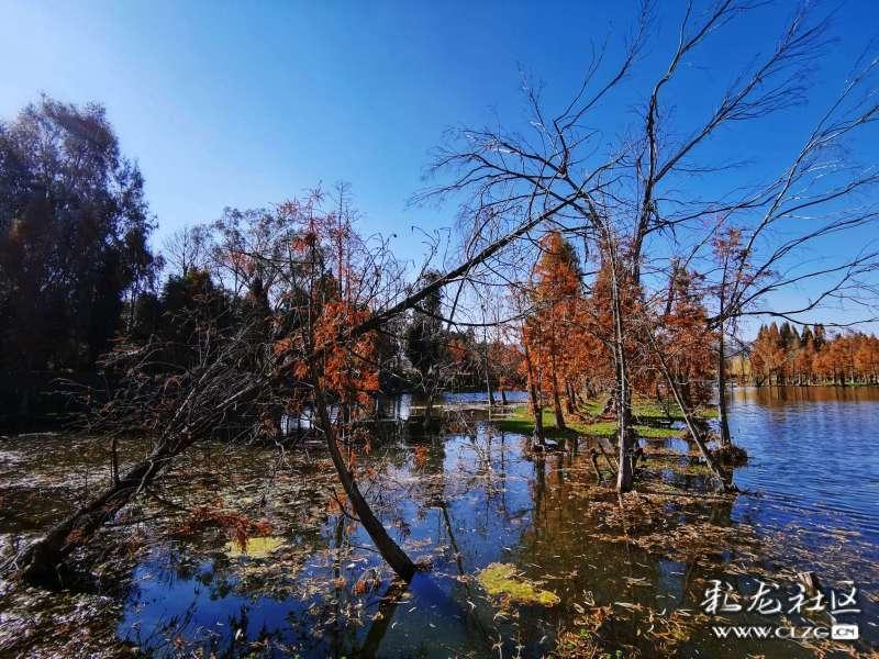 扎堆灌香肠,年味儿“噌”的上来了
