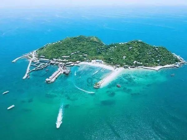 龙地逃生