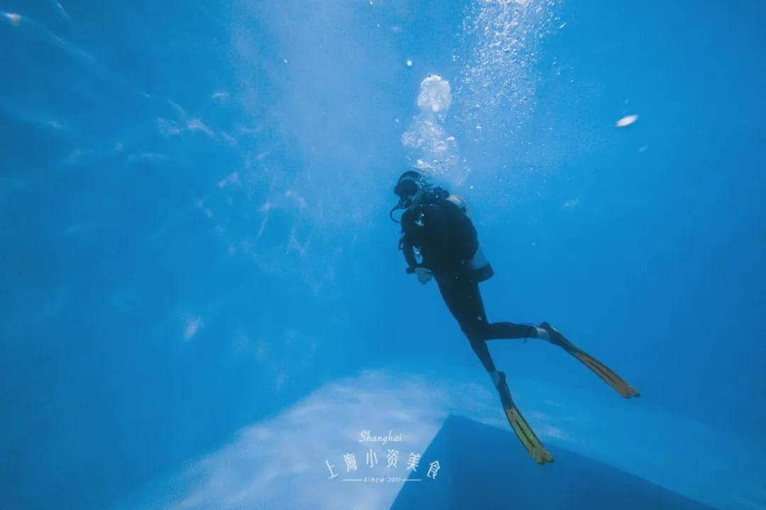 沪江开心词场