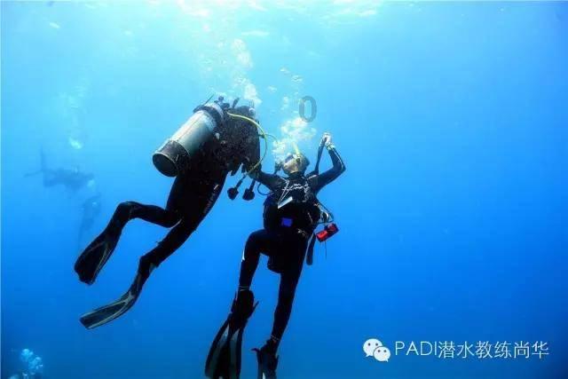 植物大战僵尸19