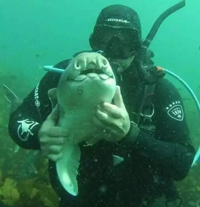 海底世界填颜色4