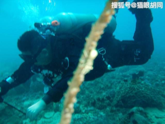 海南：预计2024年自贸港跨境收支可达到1000亿美元