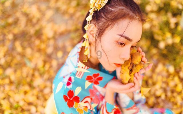 起重机卡车找不同