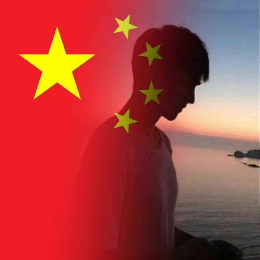 元UP、海豚,新的内卷么?