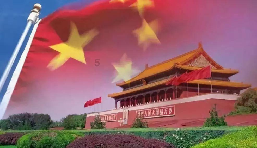 寻找迷路的松鼠