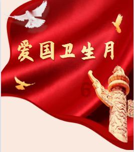 远征军：维京