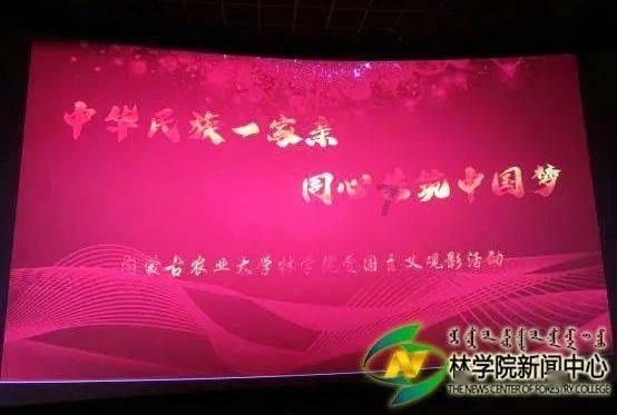 烟台“小苹果”姐弟俩快乐抵达沈阳