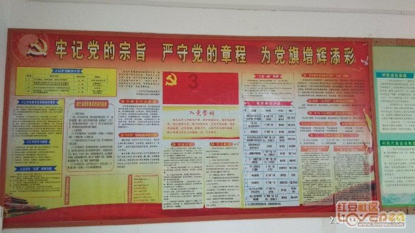 小猫钓鱼游戏龙王版有船
