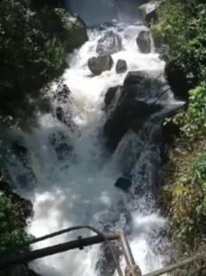春雨直播app