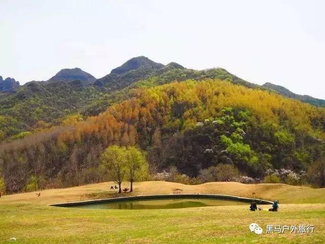 泡泡趴