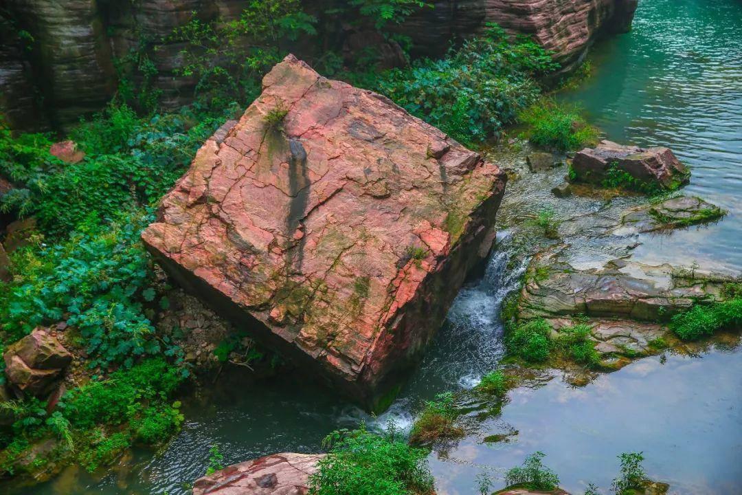 万词王