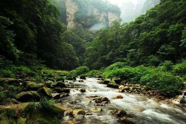 孤岛先锋