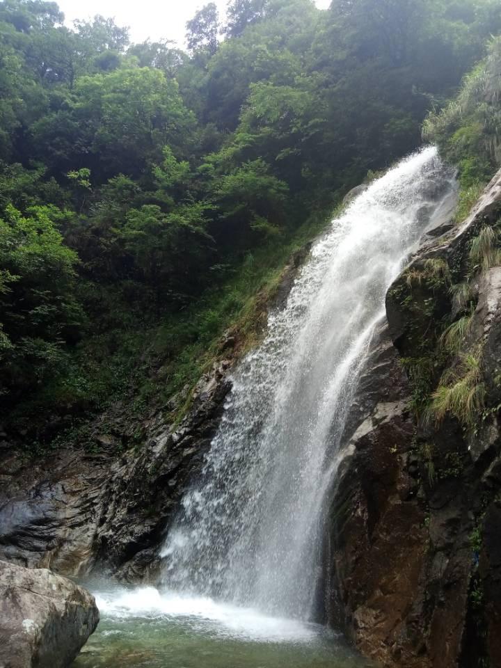蝙蝠侠：阿甘骑士