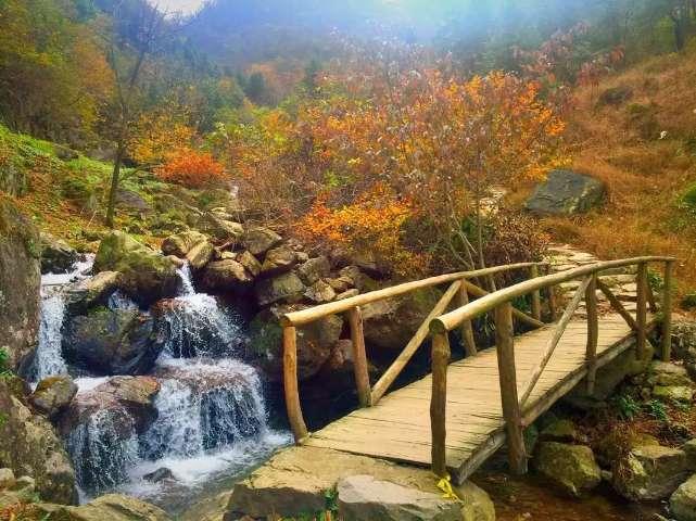 在保护之前,先看见藏区牧民对猛兽态度的复杂性