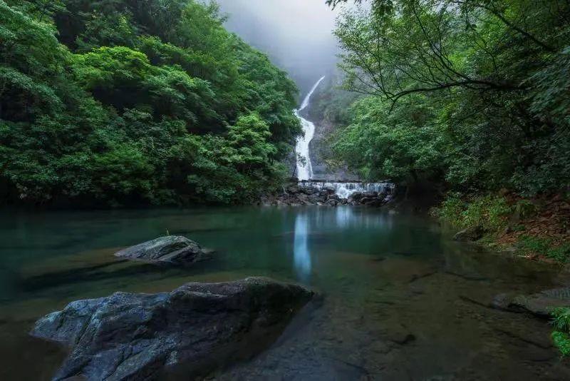 戳泡泡练口算