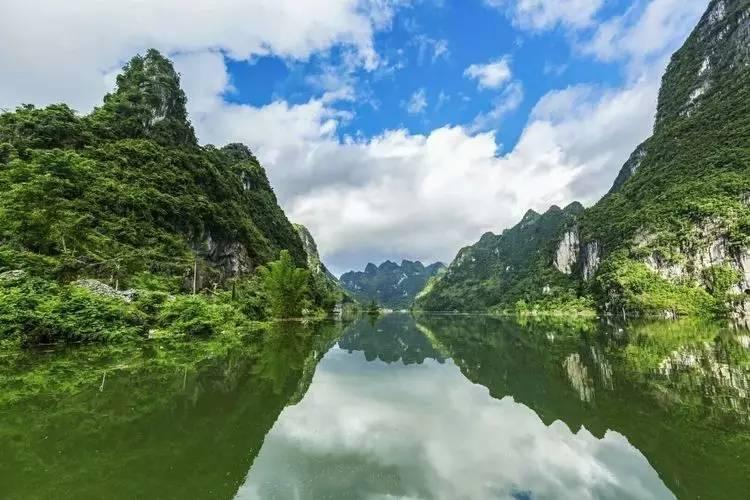 这是什么昆虫？游戏画面
