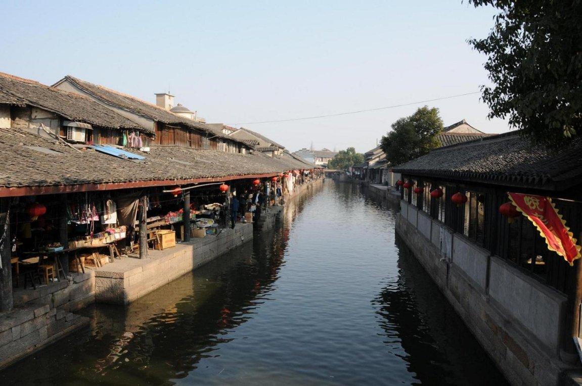 动物帮帮忙保卫家园