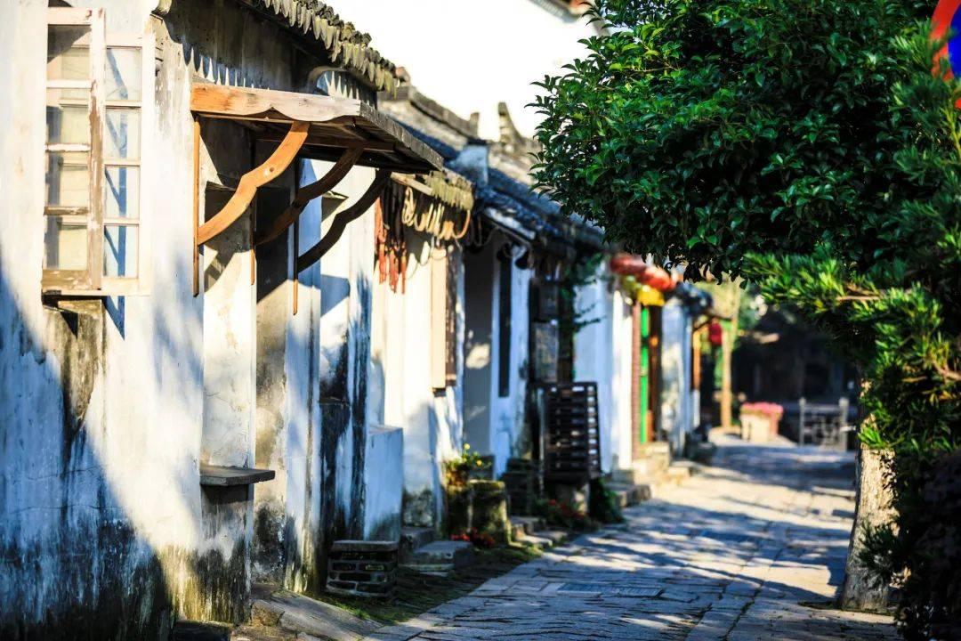 逃离森林湖畔
