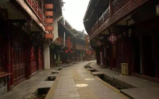 解救金刚鹦鹉