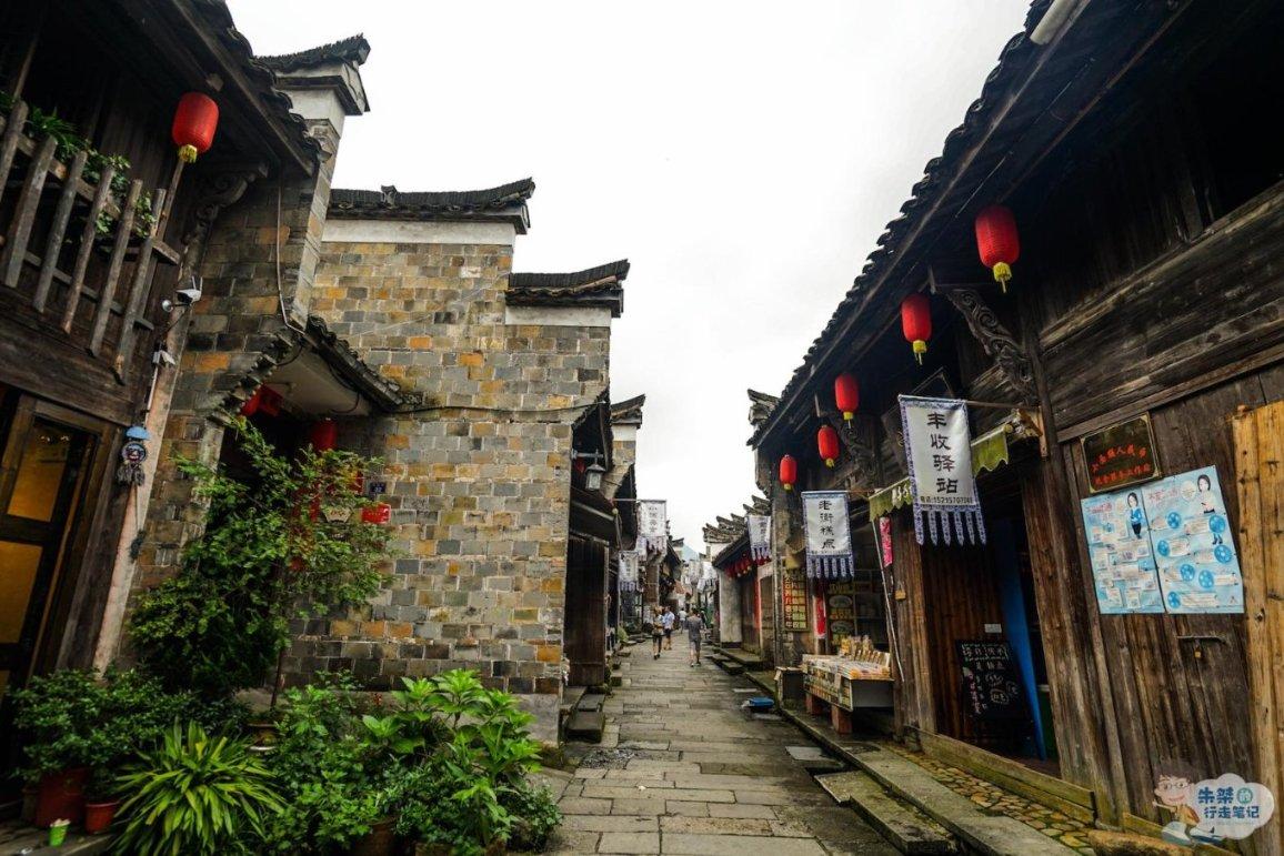 动物帮帮忙保卫家园