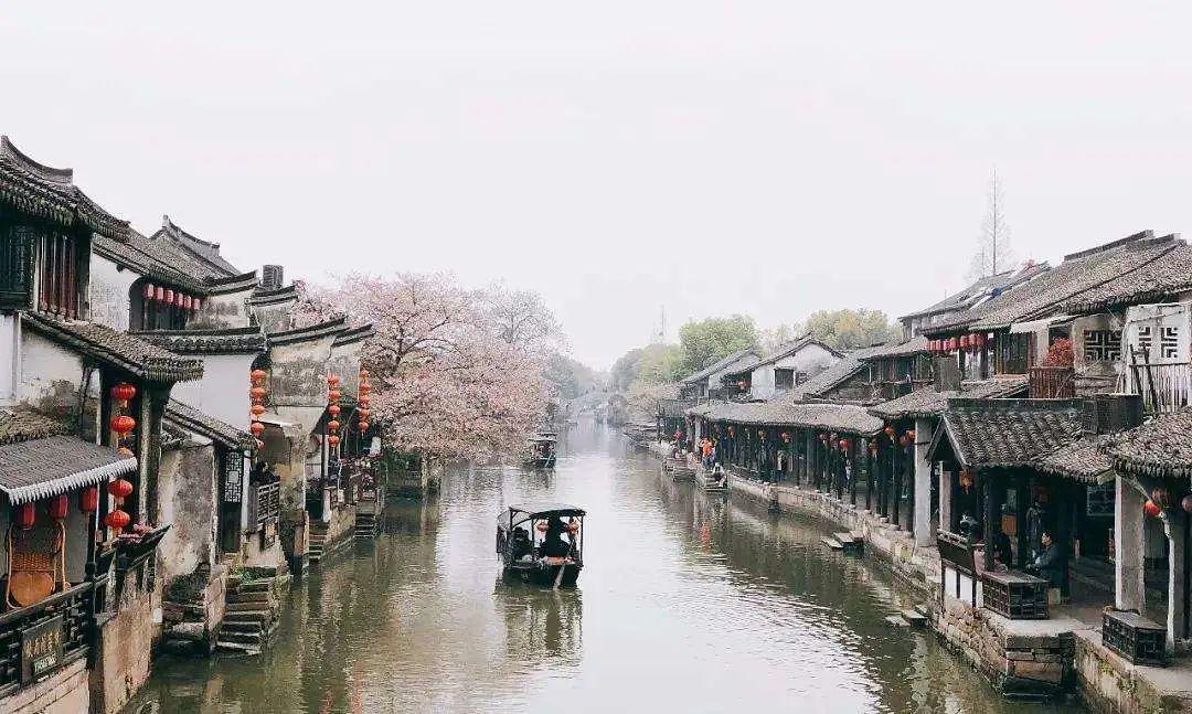 大家家里的筷子都是怎么消毒的？游戏画面