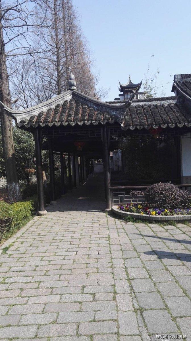 救援选美皇后