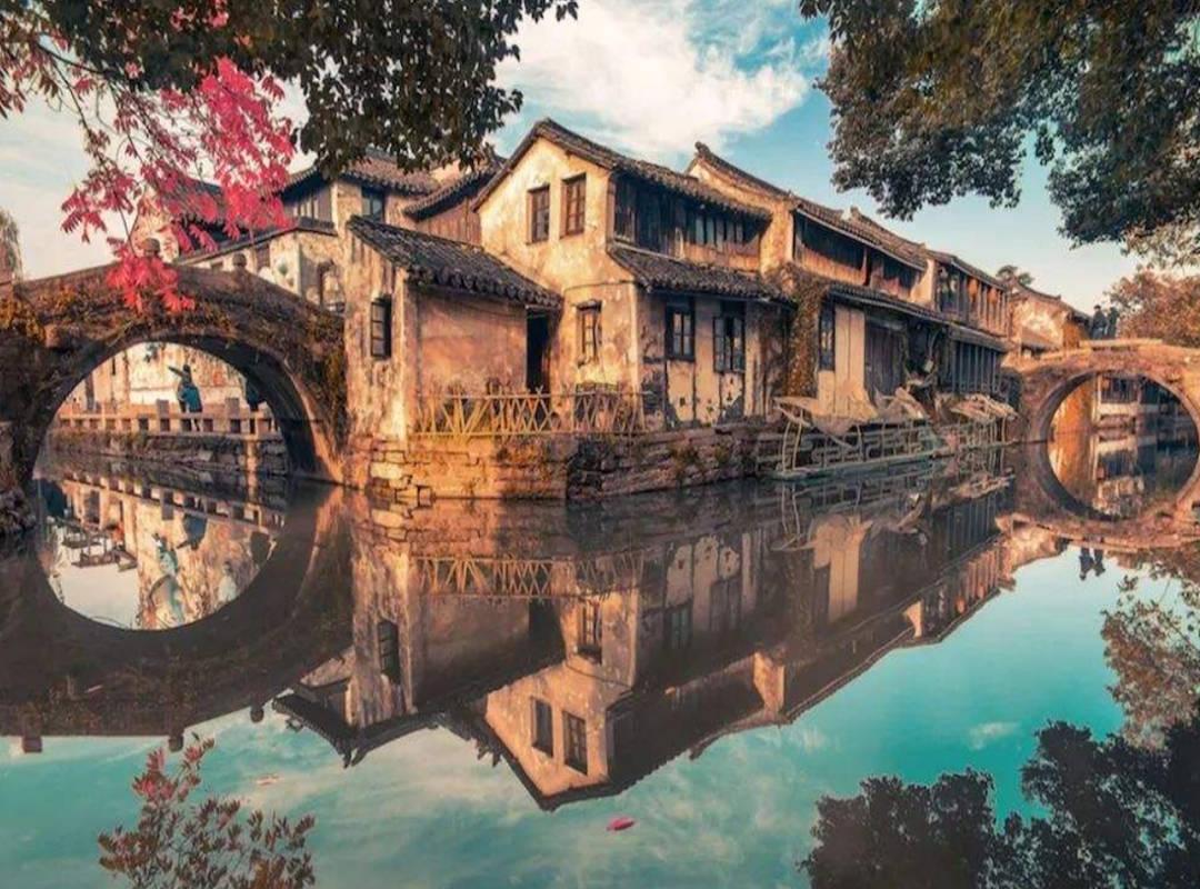 数码宝贝8