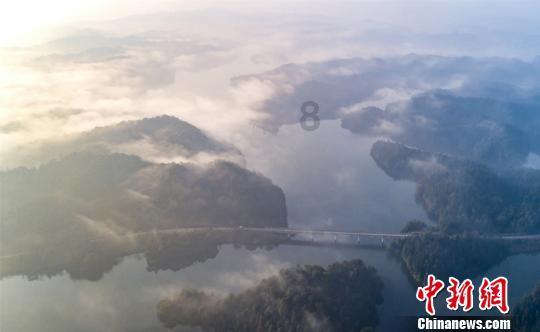 黎明杀机